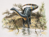 Magyarosaurus Dinosaur Standing in Water (Magyarosaurus Dacus)