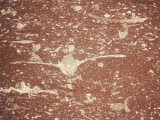 Close-Up of Jurassic Pelagic Limestone, Torre De Busi, Bergamo, Italy Photographic Print