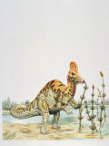 Corythosaurus Dinosaur Eating Water Plants (Corythosaurus Casuarius)