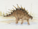 Kentrosaurus Dinosaur Standing in Water