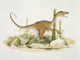 Struthiomimus Dinosaur Running in the Forest