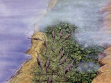 High Angle View of Brachiosaurus Dinosaurs at the Coast