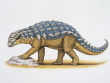 Side Profile of a Panoplosaurus Dinosaur (Panoplosaurus Mirus)