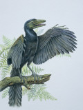 Close-Up of an Archaeopteryx Perching on a Branch (Archaeopteryx Lithographica)