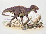 Side Profile of an Acrocanthosaurus Dinosaur Hunting an Animal (Acrocanthosaurus Atokensis)