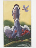 Archaeopteryx, Illustration