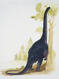 Nemegtosaurus Dinosaur Eating Leaves of a Tree (Nemegtosaurus Mongoliensis)