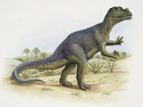 Side Profile of Ceratosaurus Dinosaur