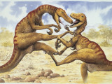 Side Profile of Two Utahraptors Fighting