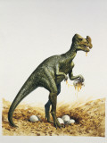Oviraptor Dinosaur Eating Eggs