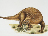 Minmi Dinosaur Eating Grass