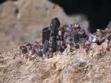 Close-Up of Garnet