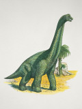 Brachiosaurus Dinosaur in a Forest