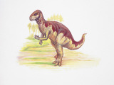 Side Profile of a Camptosaurus