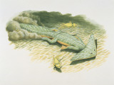 Diplocaulus Swimming in Water