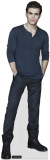 Vampire Diaries - Stefan Salvatore