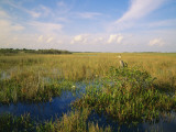 Usa, Florida, Everglades National Park