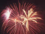 A View of Colorful Sparkling Fourth of July Fireworks Against the Nighttime Sky