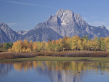 View of Mount Moran from Oxbow Bend with Aspen Trees in Autumn