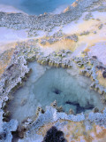 Detail of Heart Shaped Hot Spring Encrusted with Algae