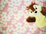 A Squirrel Puppet