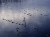 Marks in Ice