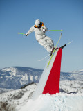 Buy Terrain Park Skiing Tricks at AllPosters.com