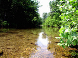 Arkansas, Ozark National Forest, North Sylamore Creek in the Blanchard Springs Recreation Area