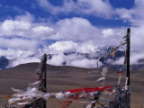 China, Tibet, Tangla Pass, Prayer Flags with Snow-Capped Himalayas in the Distance