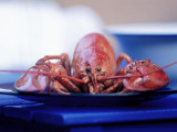 Boiled Crayfish