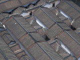 China, Hong Kong, Traditional Houses with Tiled Roof