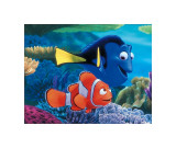 Searching For Nemo