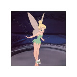 Preening Pixie (detail)