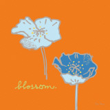 Poppies