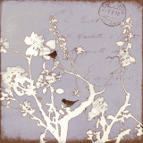 Buy Song Birds VII at AllPosters.com