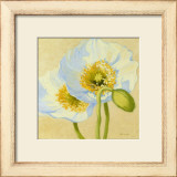 White Poppies III