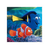 Searching for Nemo