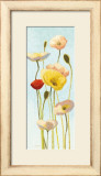 Buy Just Being Poppies III at AllPosters.com