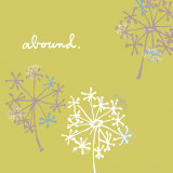 Buy Queen Annes Lace at AllPosters.com