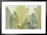 Six Leaves