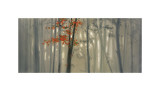 Fall Foliage
