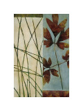 Falling Leaves