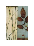 Quiet Leaves