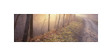 Buy Mill River Viaduct at AllPosters.com