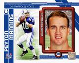 Buy Peyton Manning 2010 Studio Plus at AllPosters.com