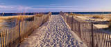 Pathway to the Beach
