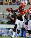 Terrell Owens 2010 Action