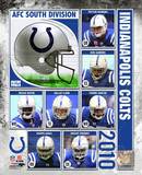 Buy 2010 Indianapolis Colts Team Composite at AllPosters.com