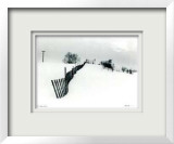 Untitled - Fence