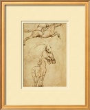 Sketch of a Horse Framed Art Print